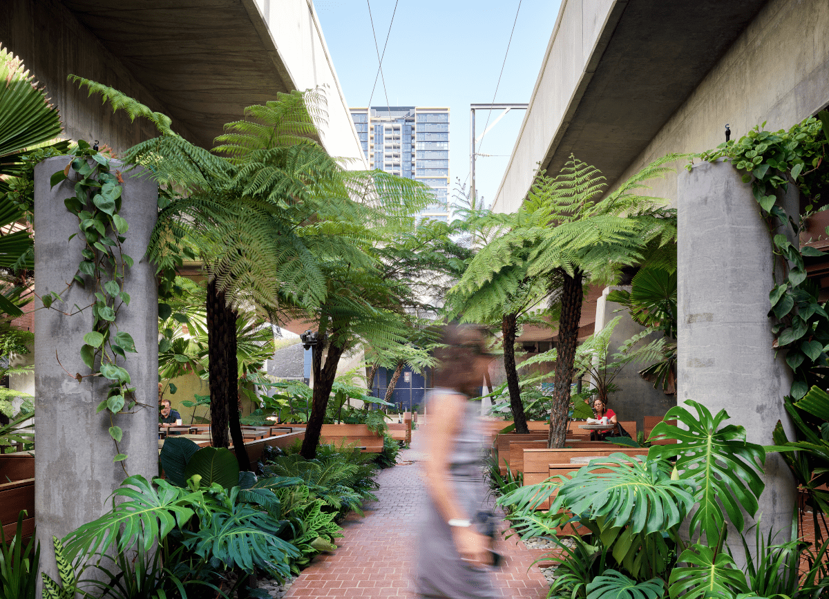 PUBLIC ARCHITECTURE + LANDSCAPE